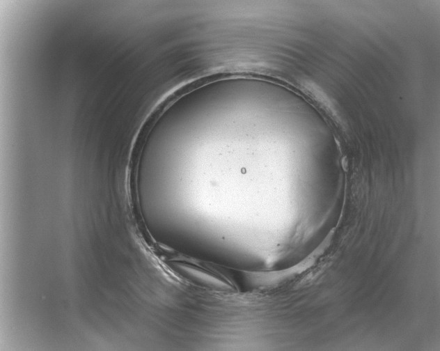 X0000068750932200605121606