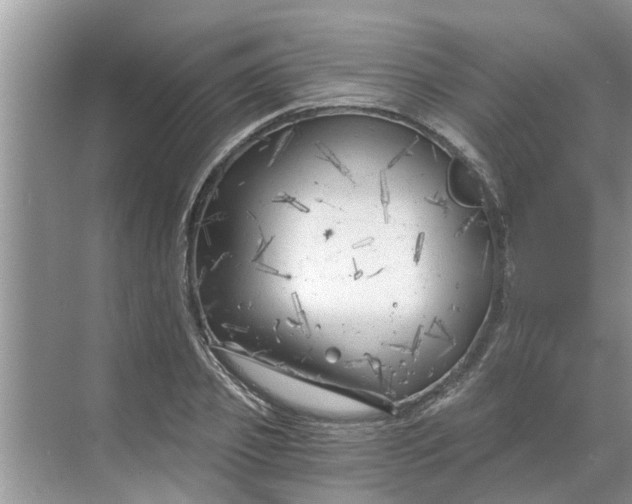 X0000068750933200605121606