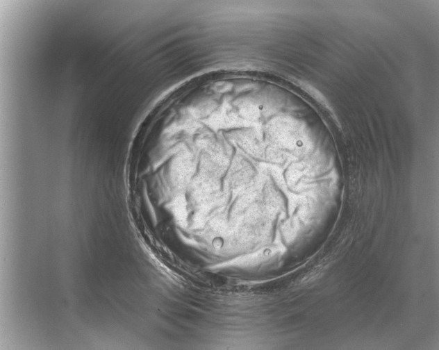 X0000068750935200605121606