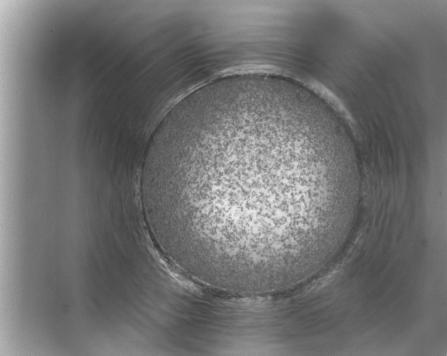 X0000068750937200605121606