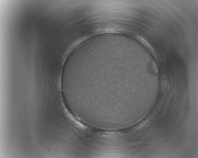 X0000068750938200605121606