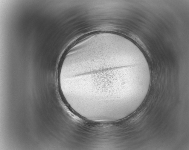 X0000068750939200605121606