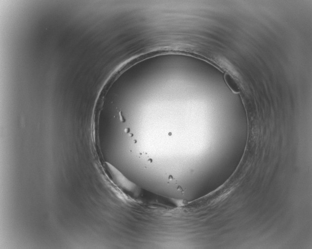 X0000068750940200605121606