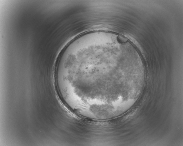 X0000068750941200605121606