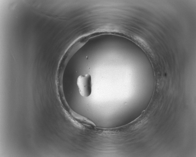 X0000068750942200605121606