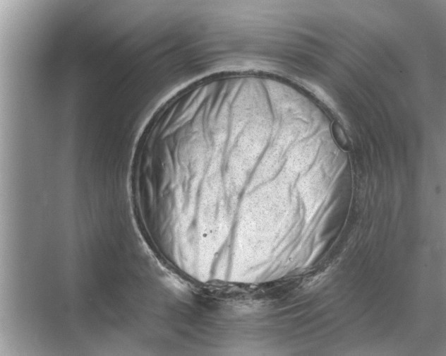 X0000068750943200605121606