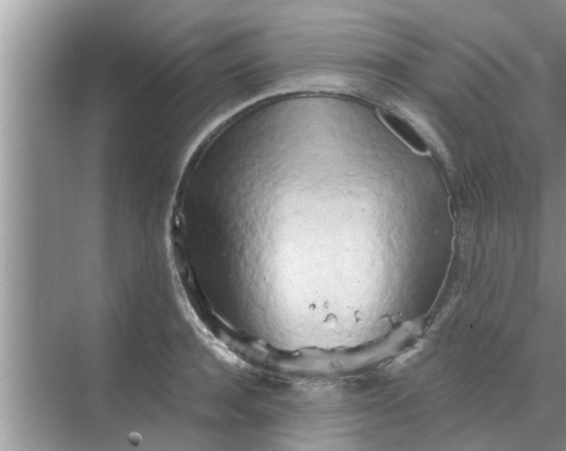 X0000068750944200605121606