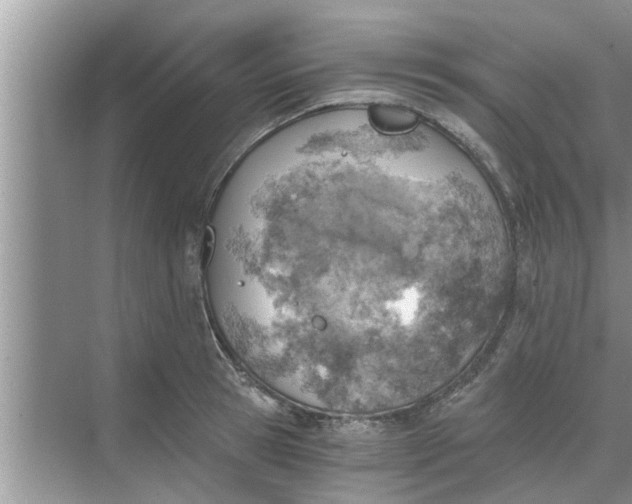 X0000068750945200605121606