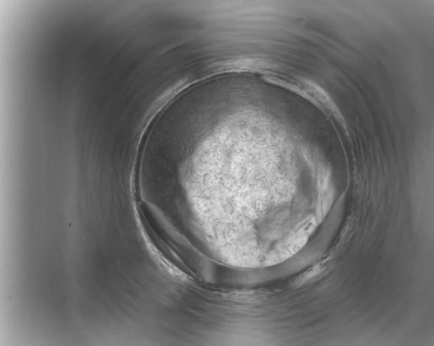 X0000068750946200605121606