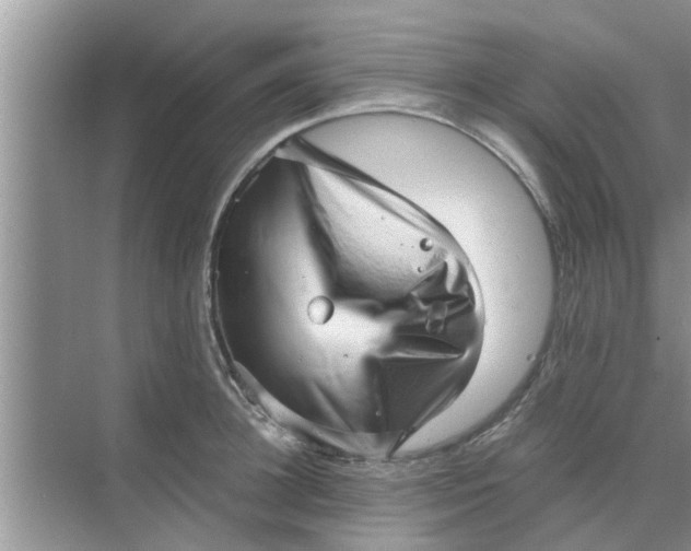 X0000068750948200605121606