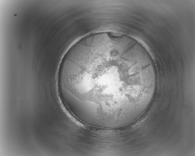 X0000068750949200605121606