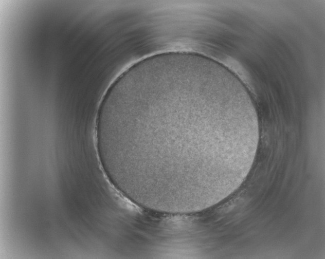 X0000068750950200605121606