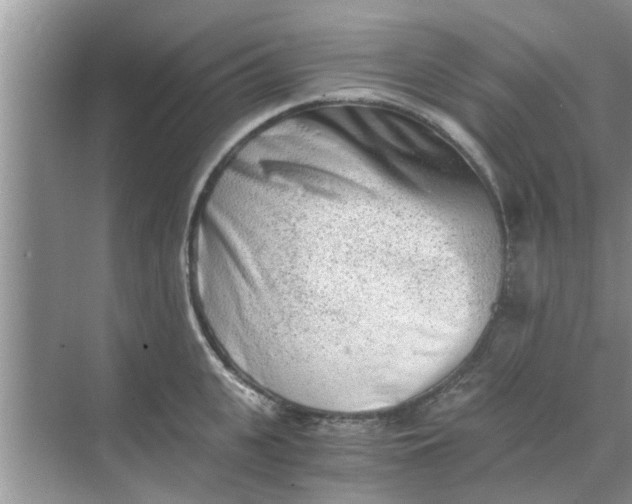 X0000068750951200605121606