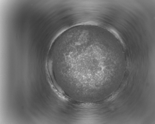 X0000068750952200605121606