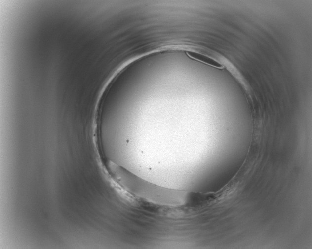 X0000068750955200605121606