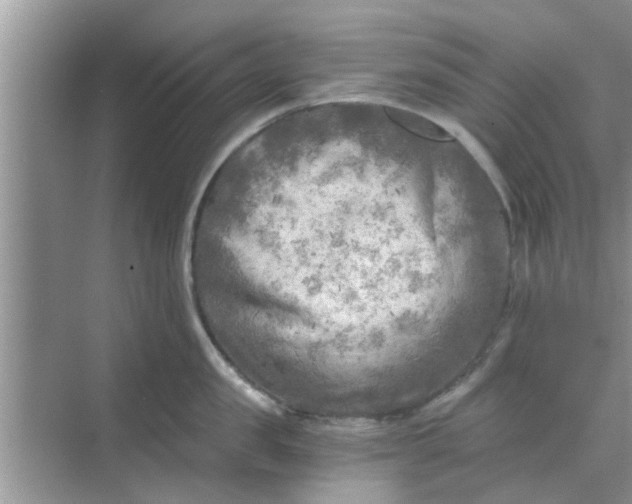 X0000068750957200605121606