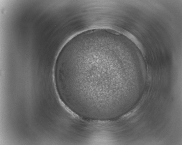 X0000068750958200605121606