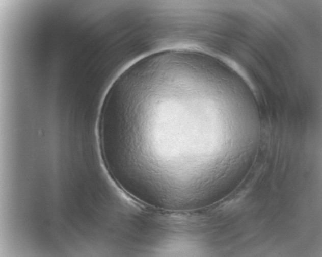 X0000068750959200605121606