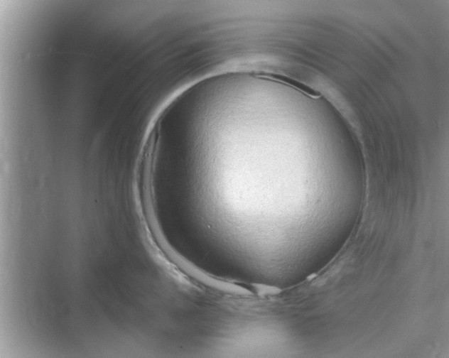 X0000068750960200605121606