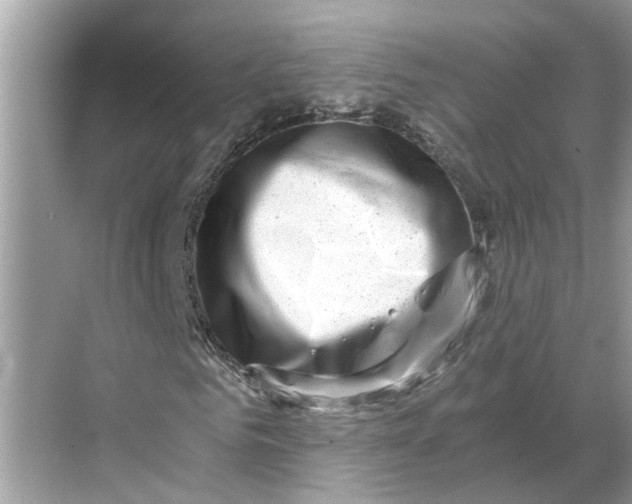 X0000068750961200605121606