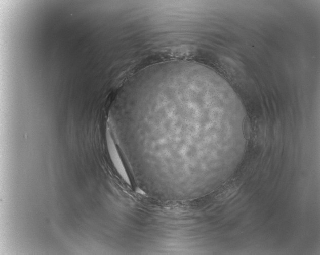 X0000068750962200605121605