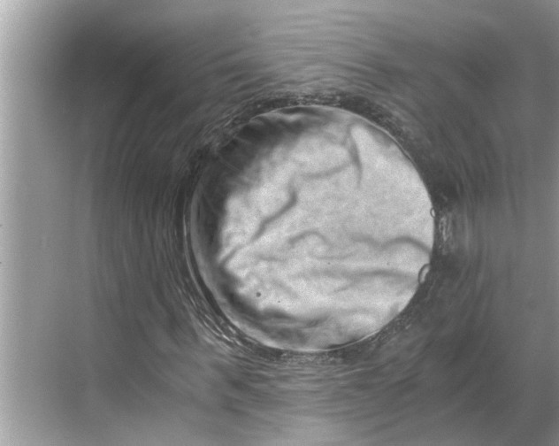 X0000068750963200605121605