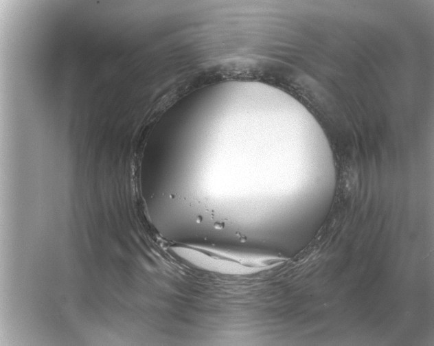 X0000068750964200605121605