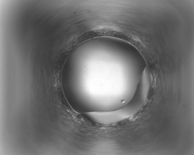 X0000068750965200605121605