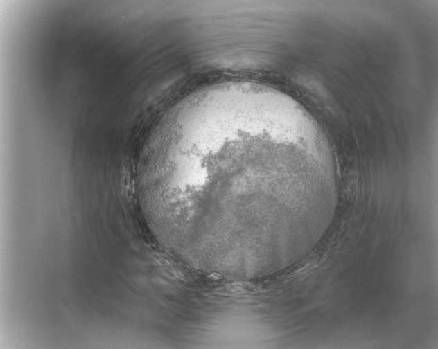 X0000068750966200605121605