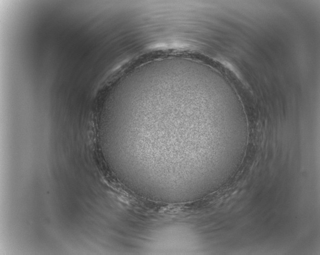 X0000068750967200605121605