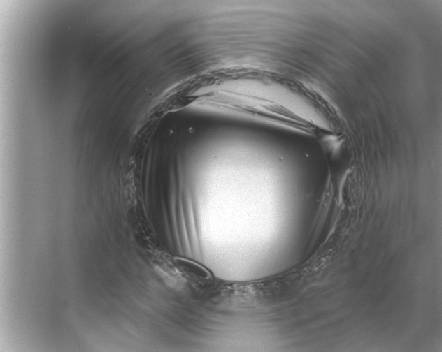 X0000068750968200605121605