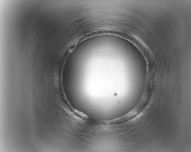 X0000068750969200605121605