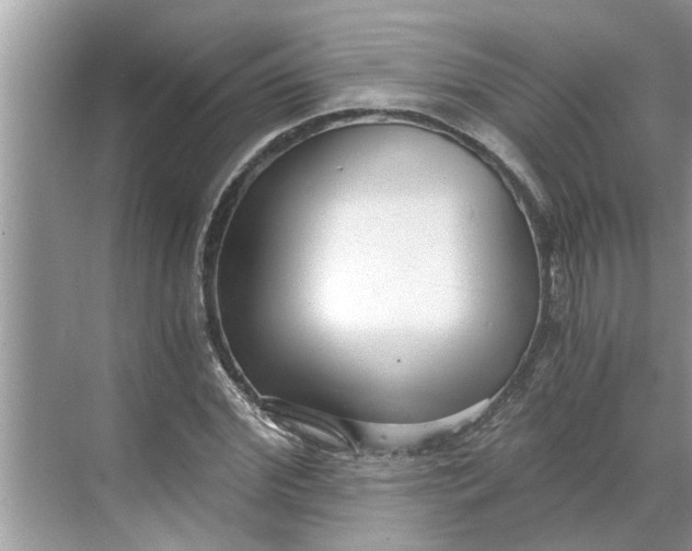 X0000068750972200605121605