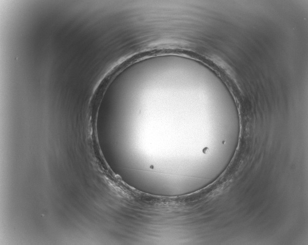 X0000068750973200605121605