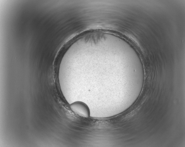 X0000068750974200605121605