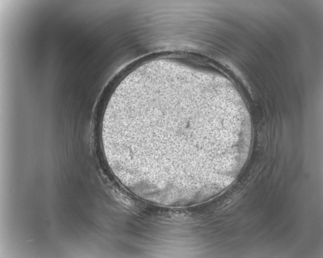 X0000068750975200605121605