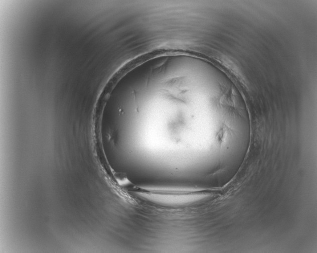 X0000068750976200605121605