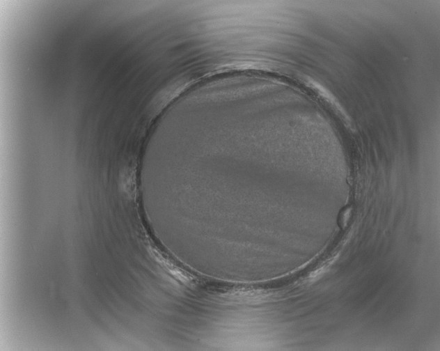 X0000068750977200605121605