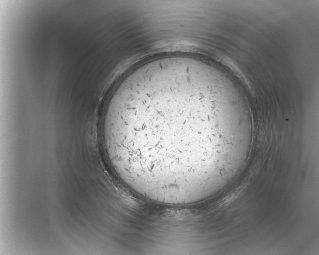 X0000068750978200605121605