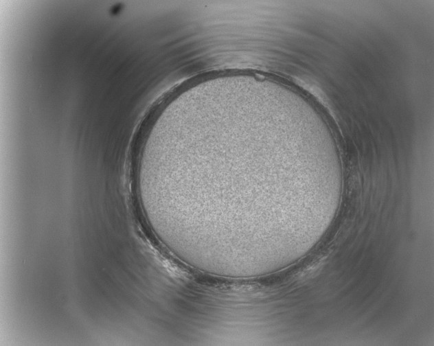 X0000068750979200605121605