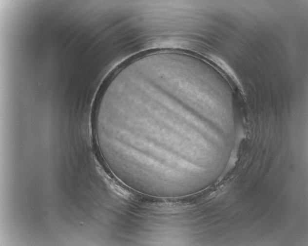 X0000068750980200605121605