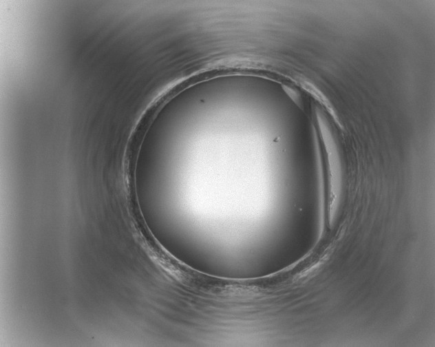 X0000068750981200605121605