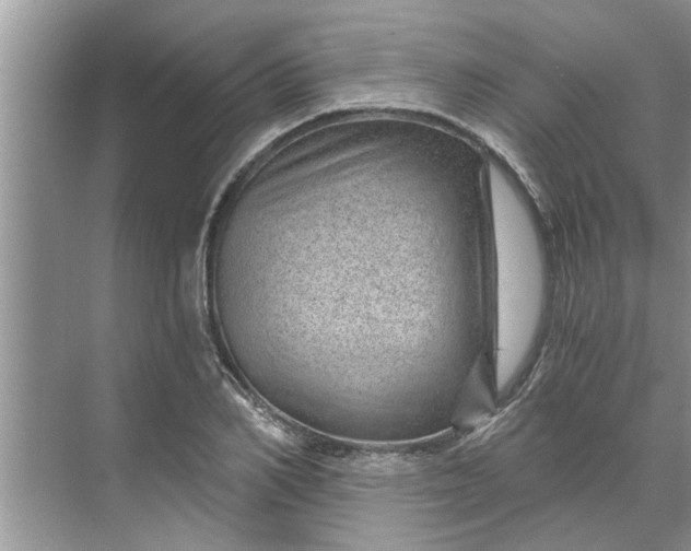 X0000068750982200605121605