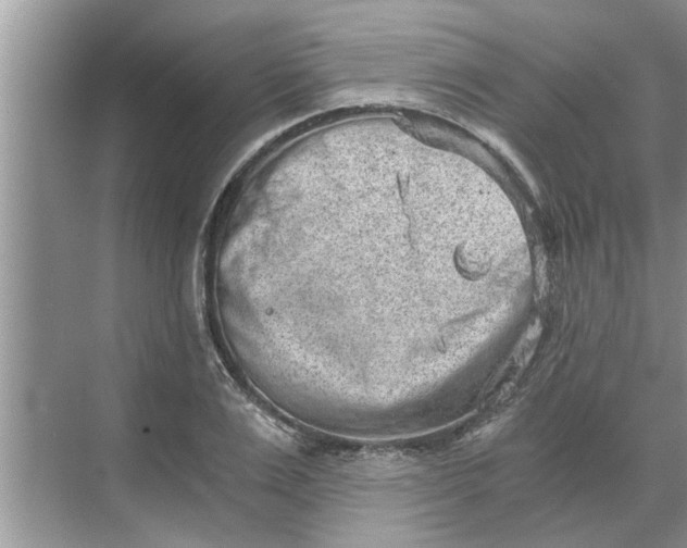 X0000068750983200605121605