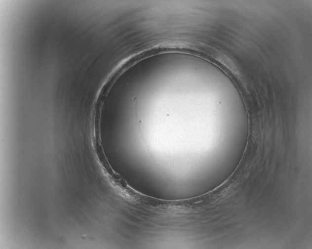 X0000068750984200605121605