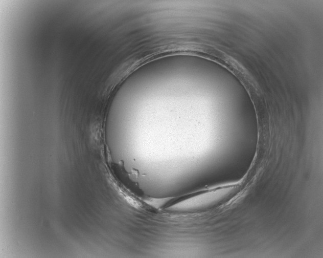 X0000068750985200605121605