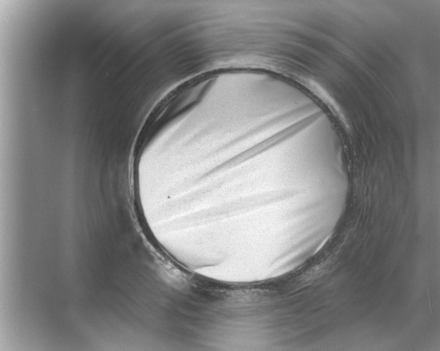 X0000068750988200605121605