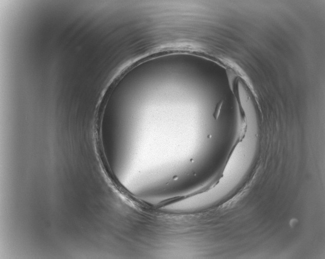 X0000068750989200605121605