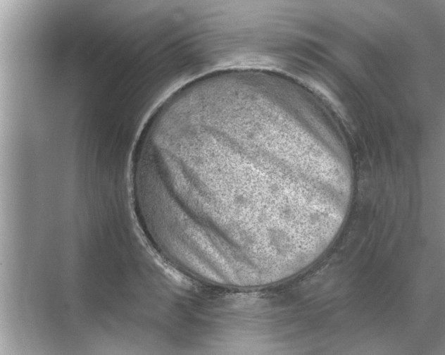 X0000068750990200605121605