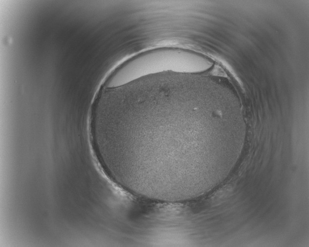 X0000068750991200605121605